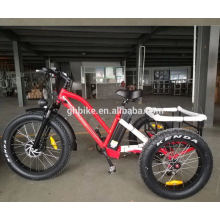 USA Popular Adult Elder Cargo Fat Tire 3 Three Wheels E Tricycle 750W 48V Electric Tricycles 555